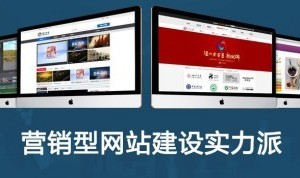 深挖區(qū)域需求 任丘網(wǎng)站制作專業(yè)市場的差異化深耕策略